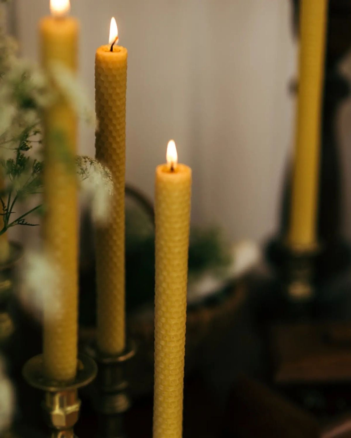 VELA DE MIEL