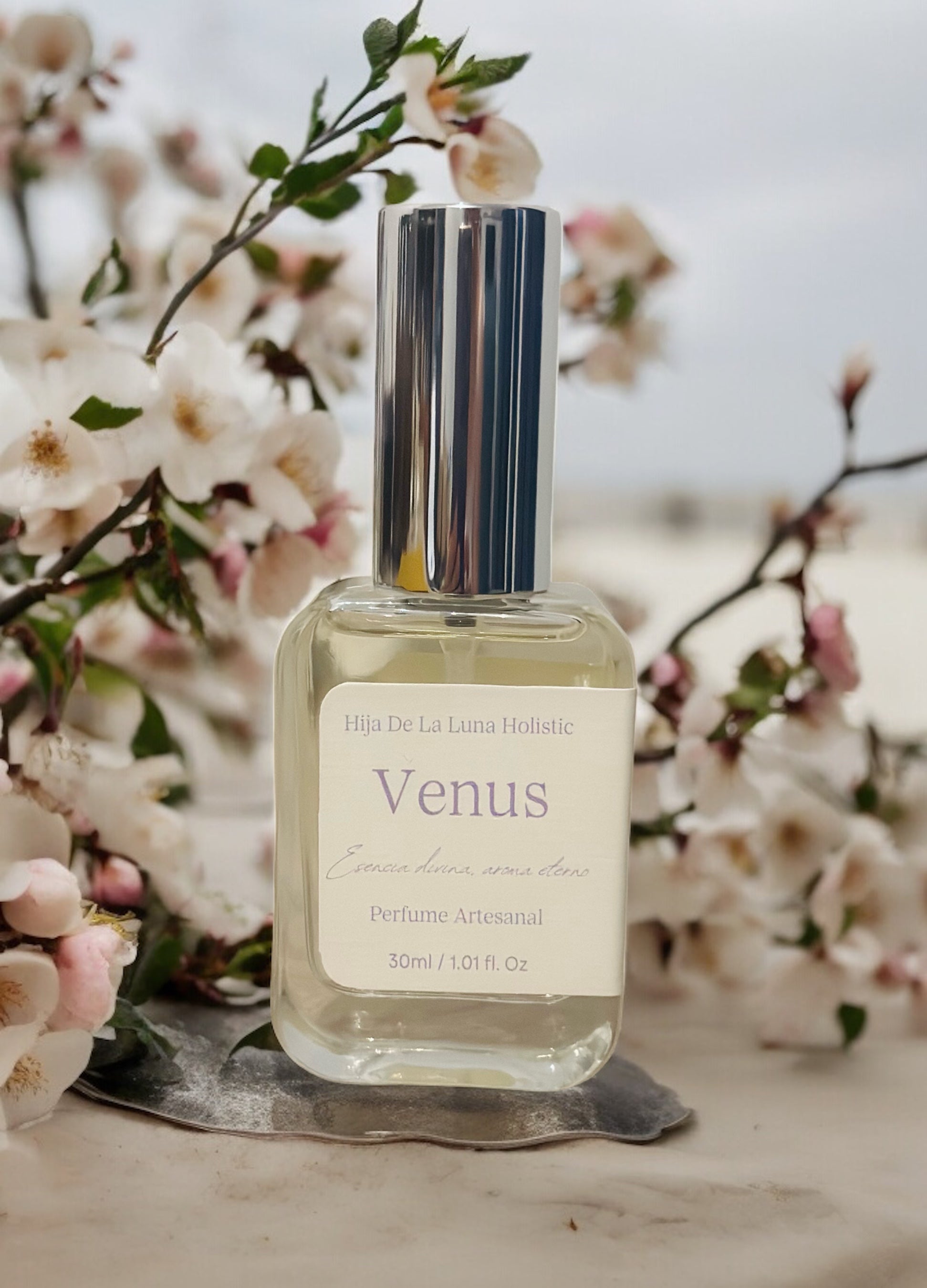 VENUS